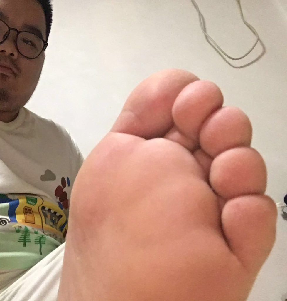 小熊彬彬 tweet media