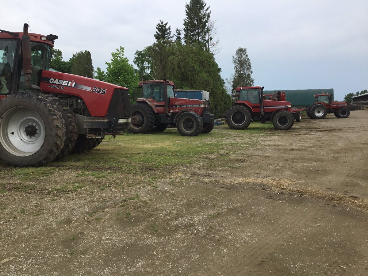 I wish these were all in a field somewhere….rain rain go away