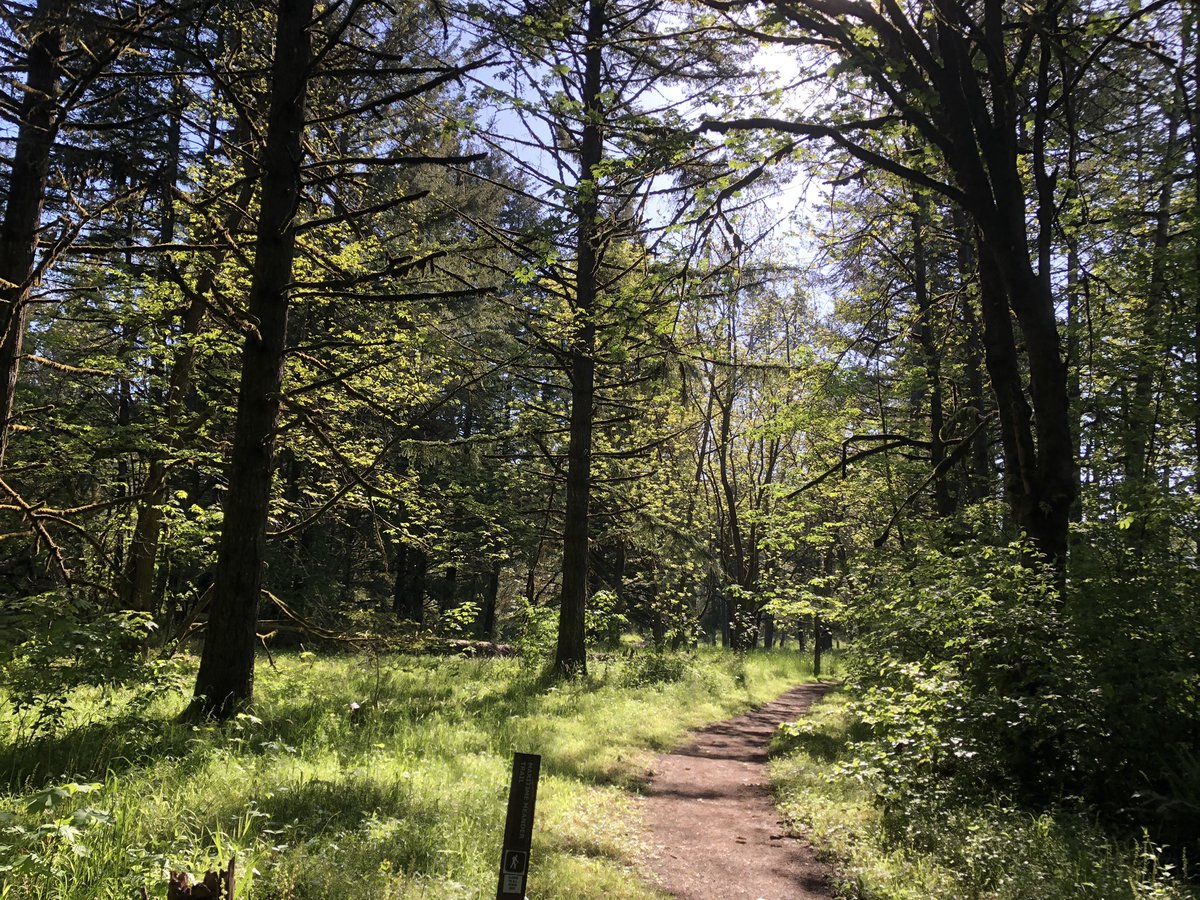 Brian Knaus tweet media