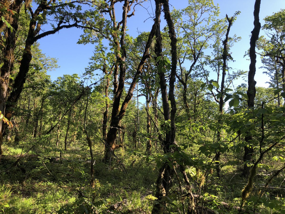 Brian Knaus tweet media