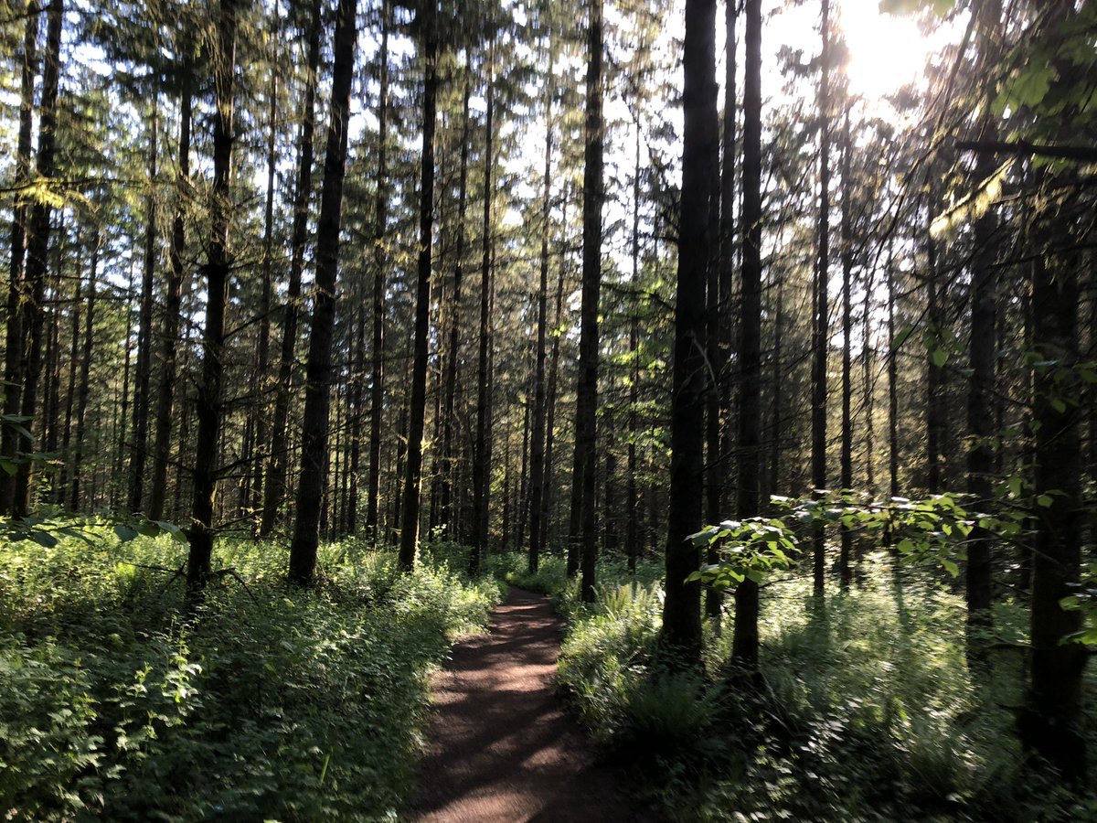 Brian Knaus tweet media