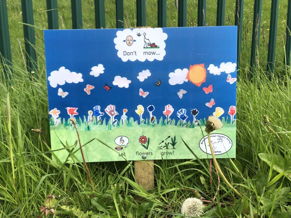 Have you seen our sign at Whinny Gill where we did our seed planting with Skipton Town Council in Spring this year? Doesn’t it look fab?