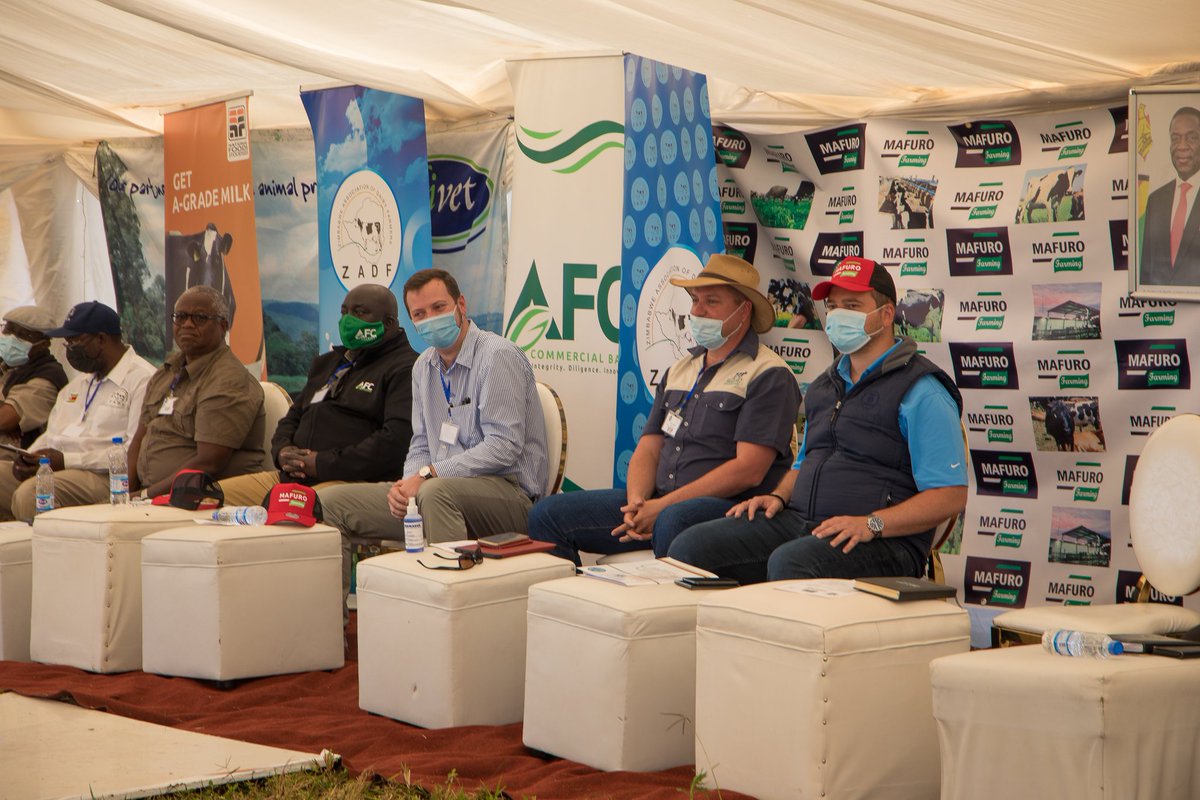 Mafuro Farming tweet media