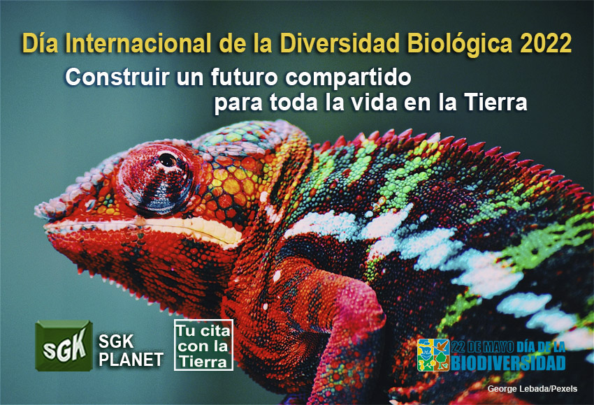 Hoy 22 de mayo celebramos el #DíaInternacionaldelaDiversidadBiológica.SGK-PLANET sgkplanet.com trae toda la actualidad sobre el tema 2022 "Construir un futuro compartido para toda la vida en la Tierra", preocupados por la #EmergenciaClimática de nuestro planeta #Tierra.