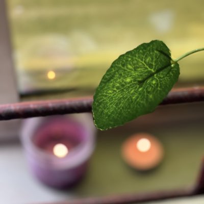 Llaimow's tweet photo. #NewProfilePic
   There is always light at the end of the tunnel 😇 https://t.co/QDymHVIul3