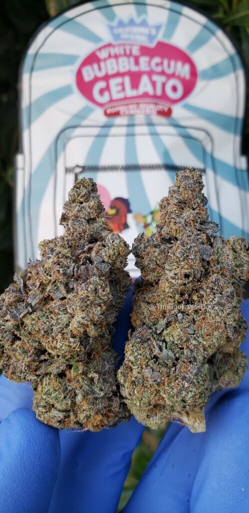 White Bubblegum Gelato! #WhiteBubblegumGelato #TheBackpackBoyz