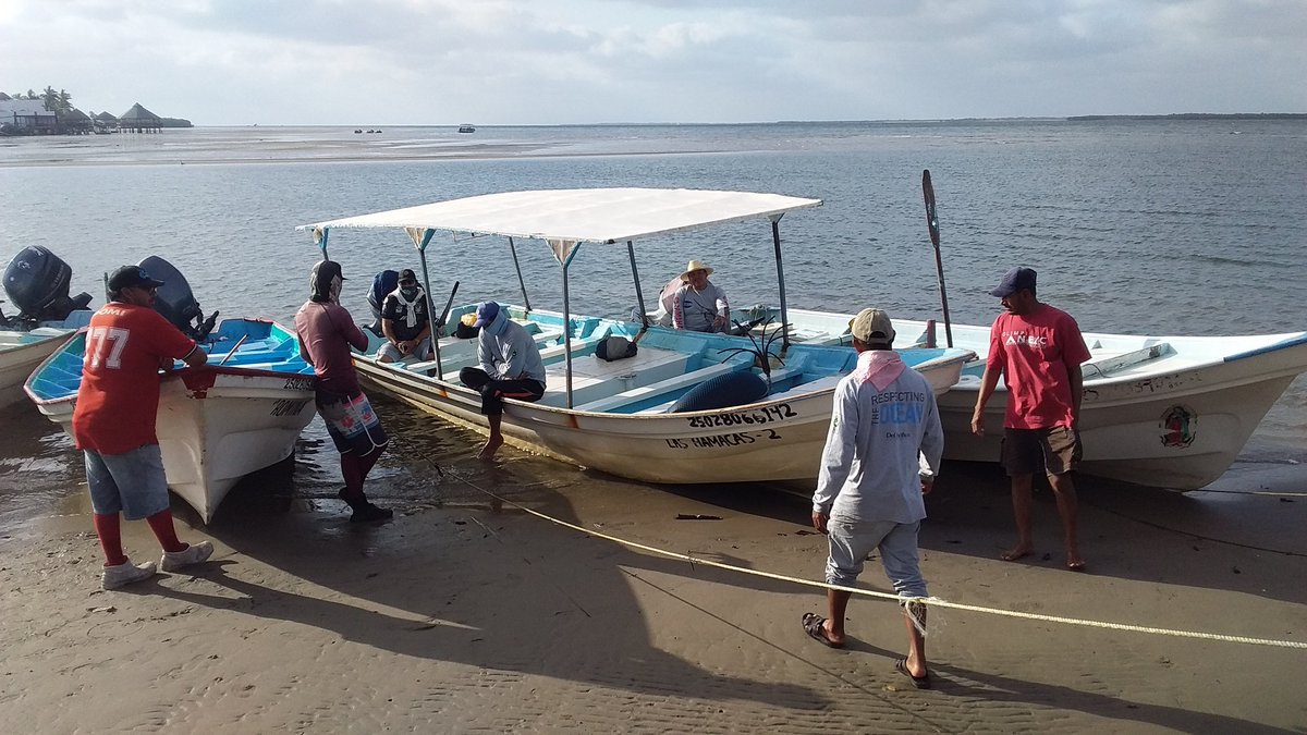 Podrán ir y venir gobiernos con ideales diferentes, no todo podrá salir como esperábamos cuando soñamos con cambios, pero lo único que si es real es que nadie hará por ti lo que te toca.
Monitores de recursos bivalvos,  Altata, pescadores y
@EDF_deMexico 
<a href="/isapesca/">Instituto Sinaloense de Acuacultura y Pesca</a>
@INAPESCAmx