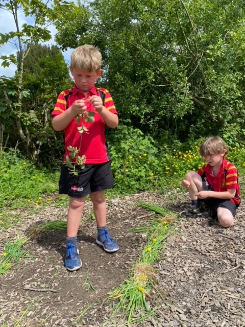 ShebbearCollege's tweet photo. We love having a big rural campus & spending lots of time outdoors! Here's Prep 1 & 2 creating maps in #Geography. They've also been looking at plants in #Science, learning about what they need to grow healthily. #ruralschool #Devon #gooutdoors #ShebbearPrePrep #maps https://t.co/CiKRthOZuT