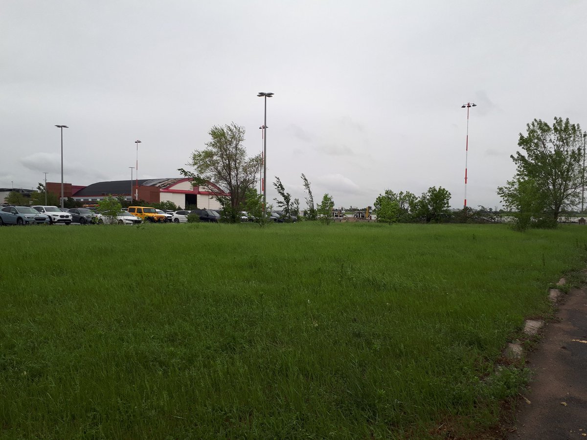 Simon Lam Eng tweet media