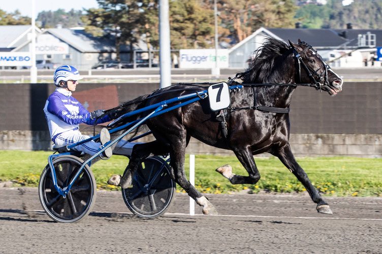 Tordenskjold tar sin fjerde strake seier og legger inn 23,1 siste 500! Han blir å regne med i de større 3-Åre løpene 🏆🏁

Foto: Hesteguiden.com