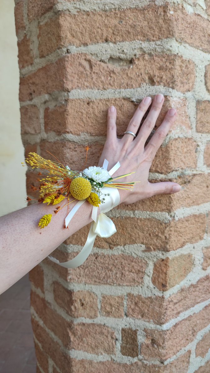 dovesiba tweet media