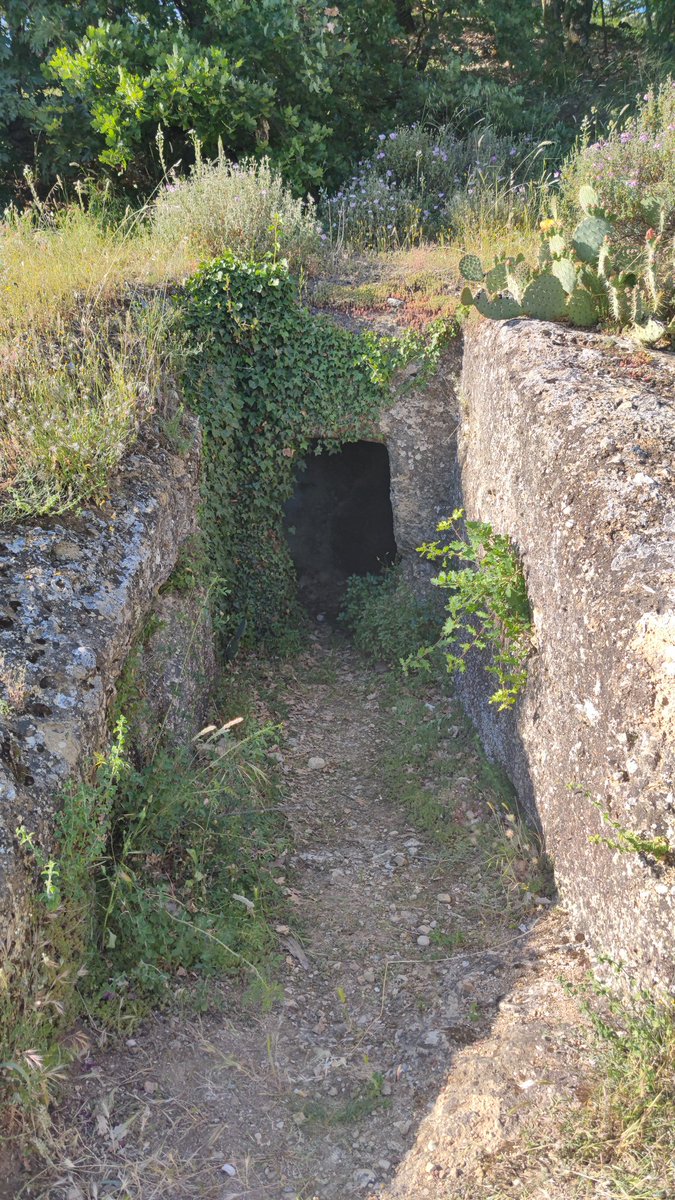 dovesiba tweet media