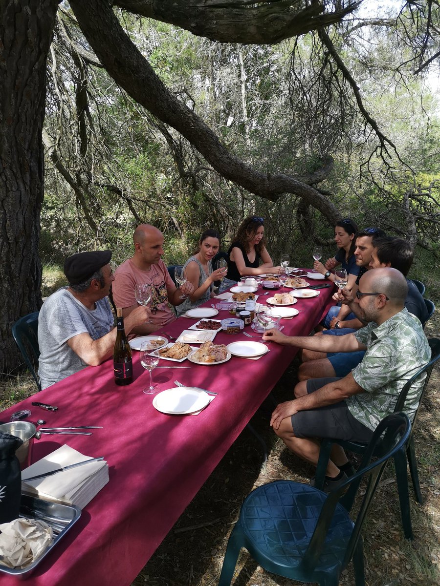 Celler Matallonga tweet media