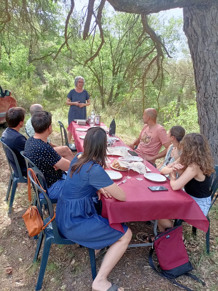 Celler Matallonga tweet media