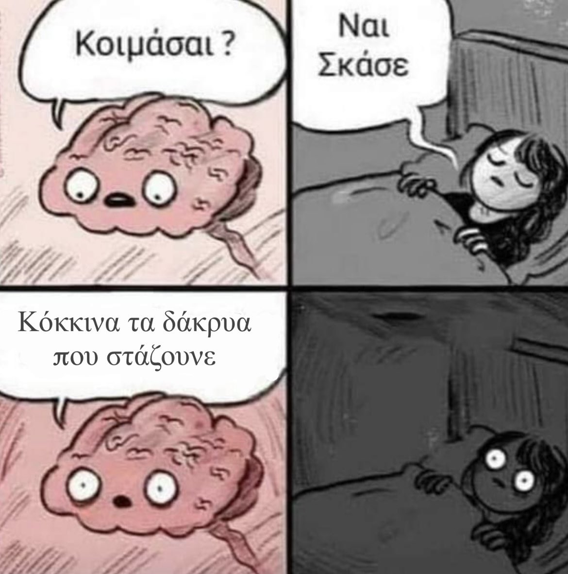 fannatics tweet media