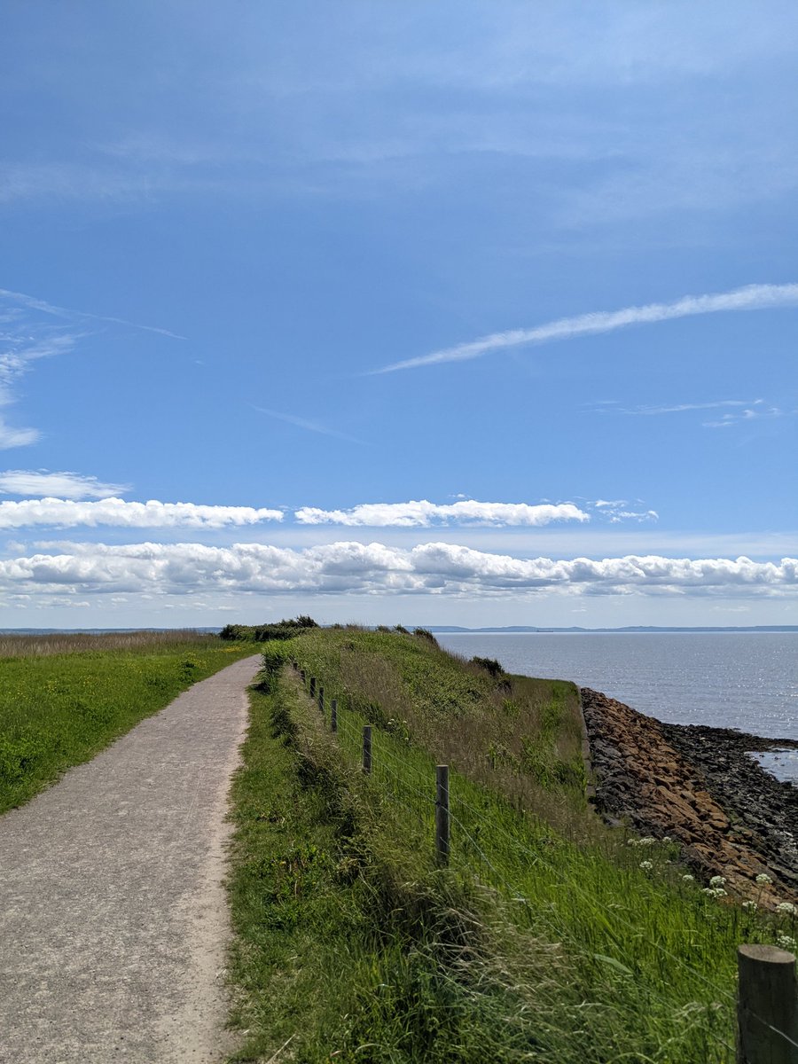 Caffrino's tweet photo. First time today at @RSPBNewport, with marsh harriers, purple heron (UK lifer), hobby, oystercatcher and greenfinch (lifer). Excited to start volunteering here! 🪶 https://t.co/w3HkK63osp