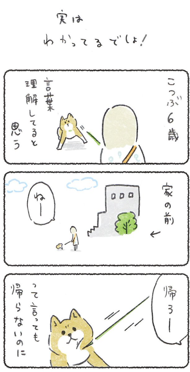 言葉わかってる犬う〜🐕

リプにつづき貼ります
#豆しばこつぶ 