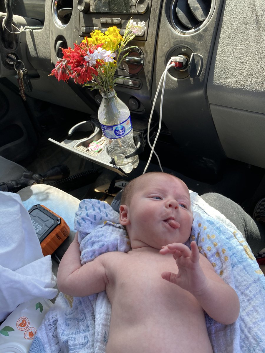KassHardy's tweet photo. Look at him 🥺 https://t.co/iYThlIhNfs