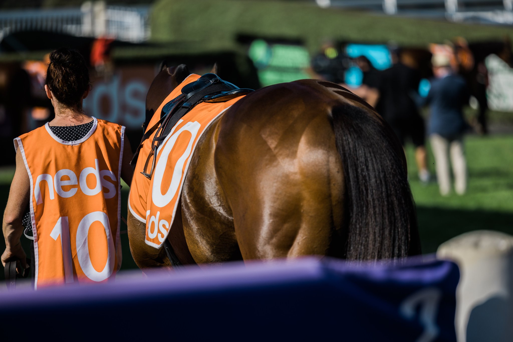 Melbourne Racing Club on Twitter "Digital racebook for tomorrow's 