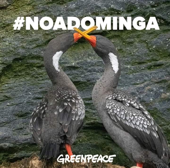 Sandra89693107's tweet photo. #NoADominga 
#NoaDomingasialavida
#AprueboDeSalida https://t.co/n52ip8hpGT