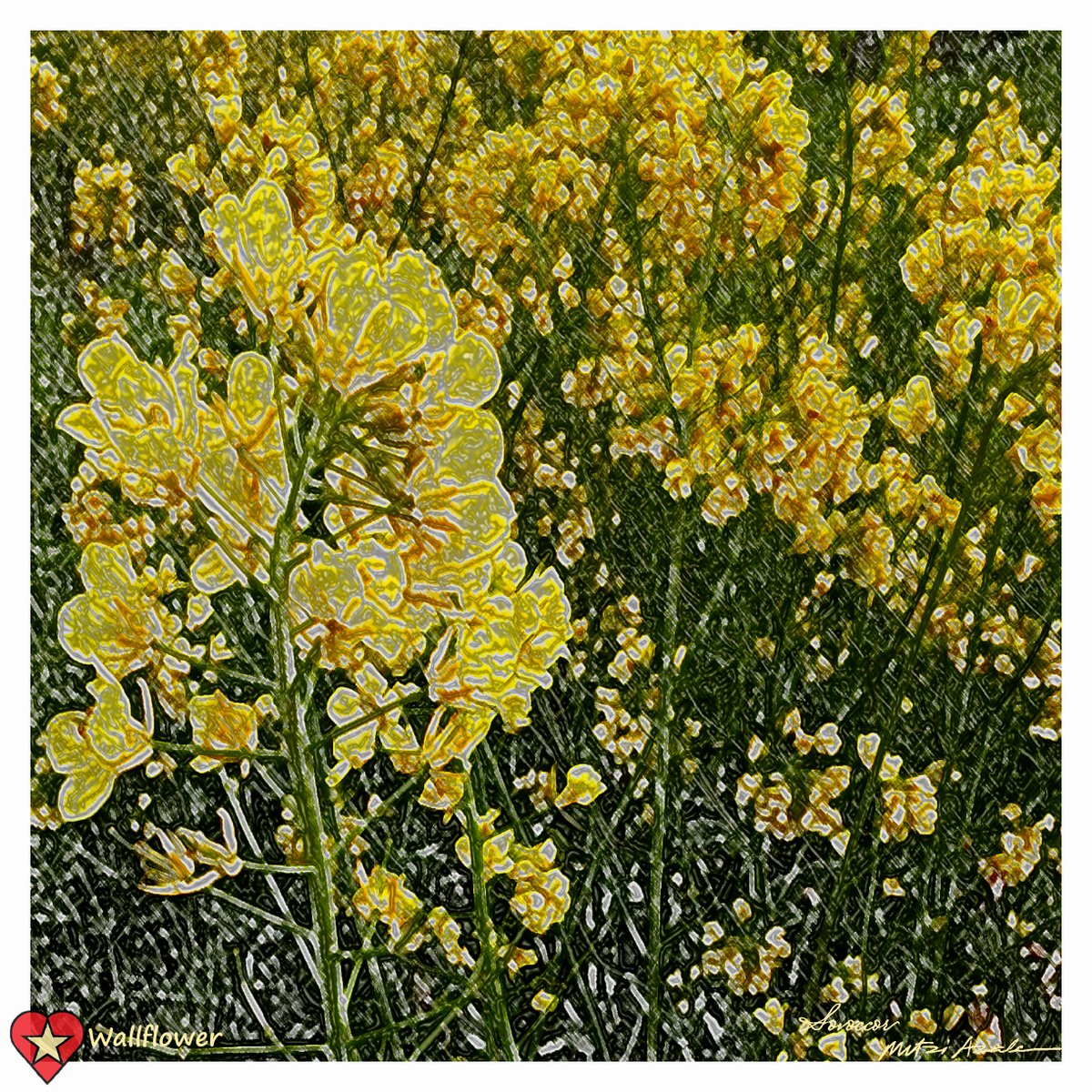 mitzisNiFTis's tweet image. Quest for Wallflower epic 10/10 this week at The Pioneer Londom 1750 1500 @theupliftworld #upliftworld #minecraft #NFT #NFTart #NFTgiveaway #WAXP #NFTs #sovoccor #mitzisniftis