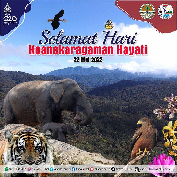 Tema Hari Keanekaragaman Hayati 2022, "membangun masa depan bersama untuk semua kehidupan "Building a shared future for all life".