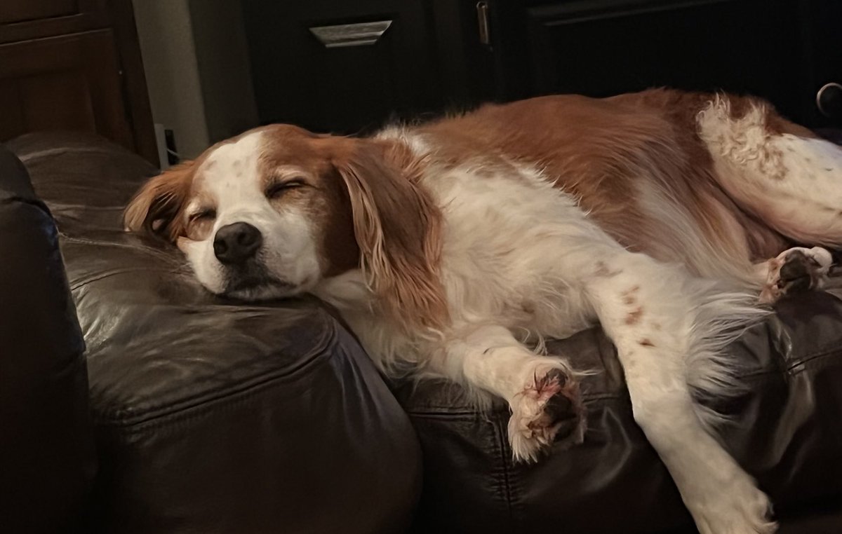 Long hot weekend for Bailey