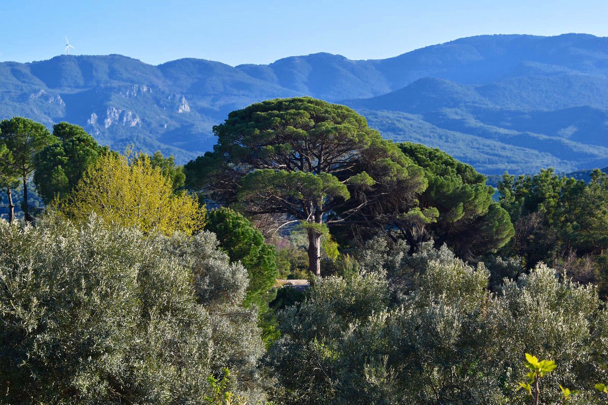 ✨Mucize✨
Teşekkür ederim hayat!
22/05/2022
<a href="/kalbinfisiltisi/">whisperofwordsandnature🍀</a> 

#mucize #miracle #begrateful💙#hayat #life #nature #NaturePhotography