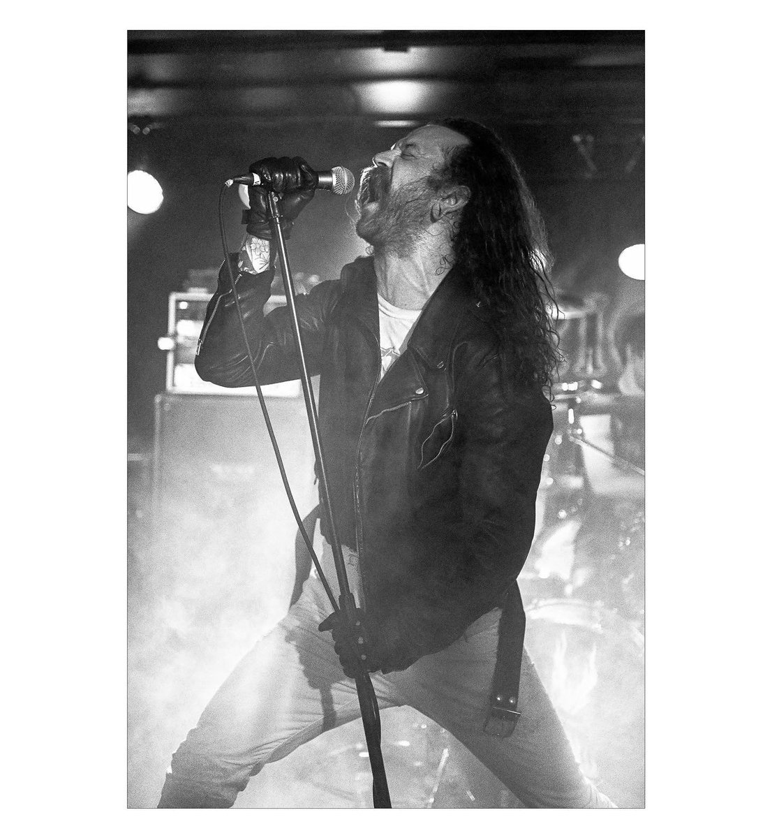 Wolf King tweet media