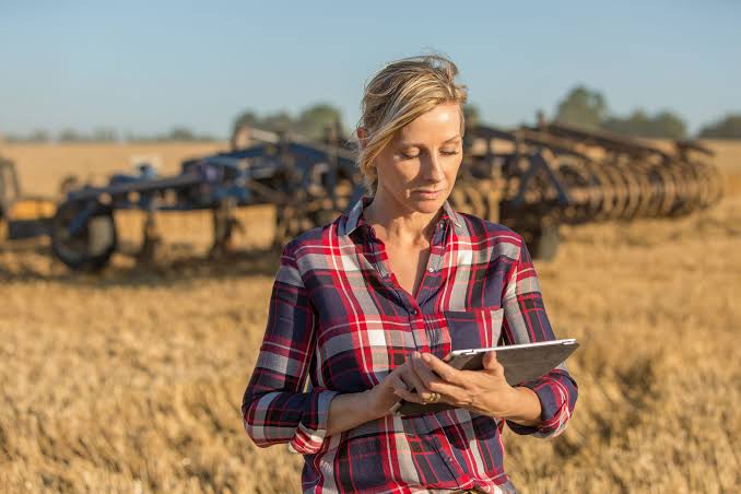 The African Growers tweet media