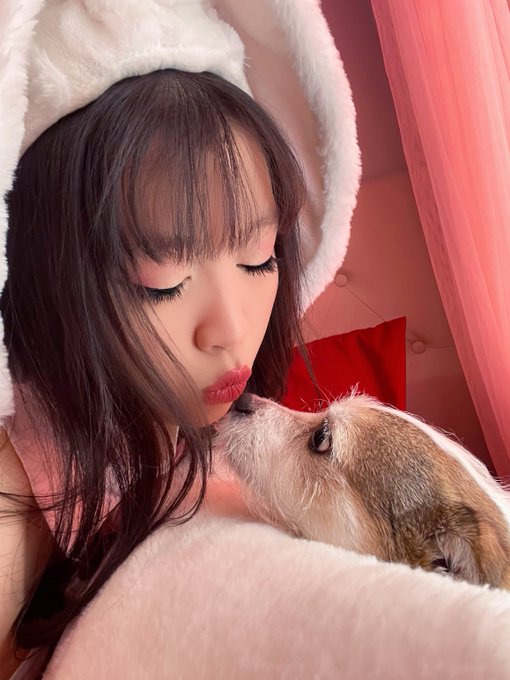 1 pic. sorry for being mia lately, I’ve been fist fighting a cold ? almost winning tho! ?

i offer doge