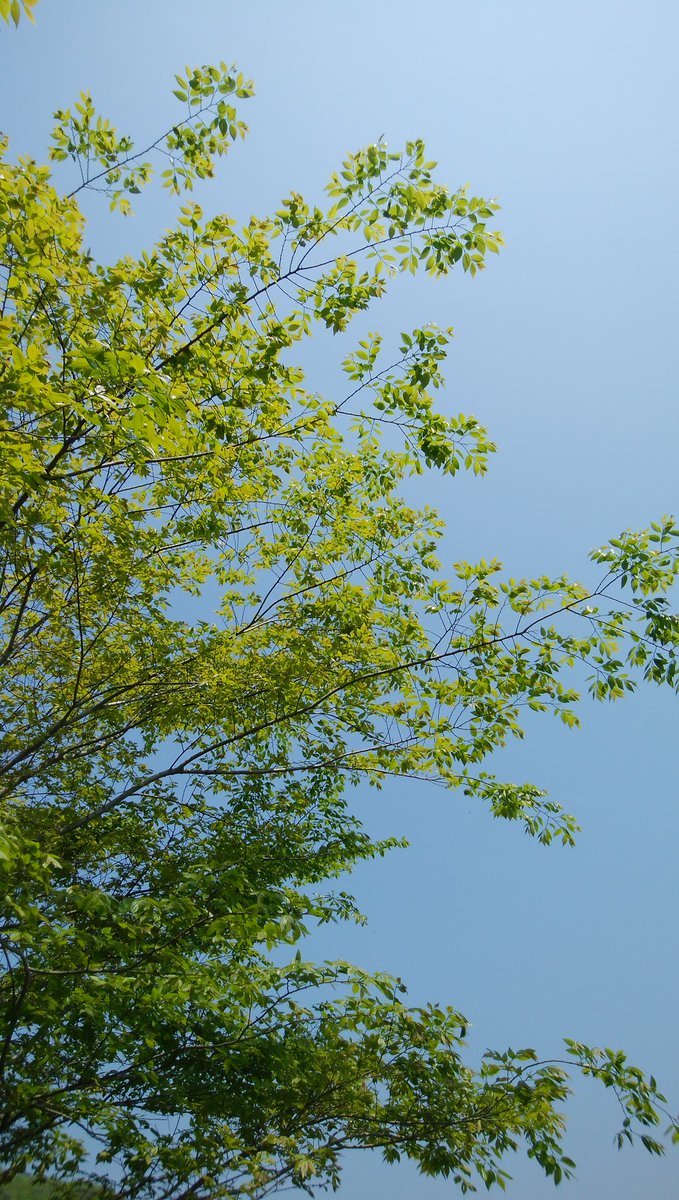 昨日のテニスは前日よりましであった。昨日足を動かしているぶん違うのかな？やればやっただけの結果がでるのだろうな。
だが全然足が弱っている、このままでは楽しくない復帰だ！

女性高額収入 

 taa1341.web.fc2.com/ad3.html