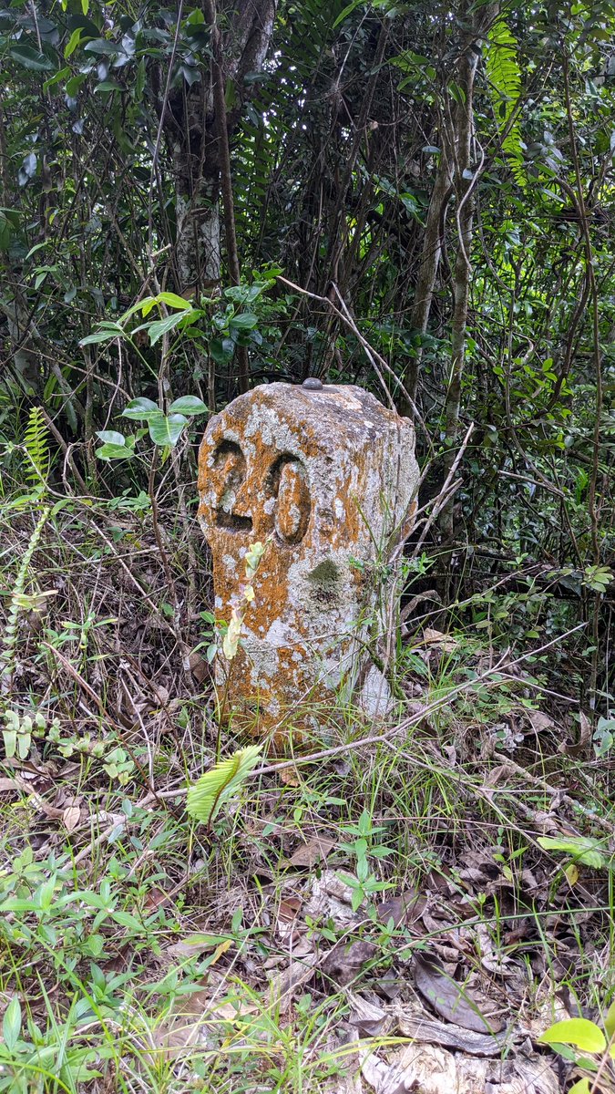 DamienWKing's tweet photo. Younger people may not know where the metaphorical reference, "milestone", comes from. Here's one -- a literal concrete marker indicating the number of miles to the nearest major town. [This one between Kinloss and Spring Garden in Trelawny.] https://t.co/zOX0OGDSKK