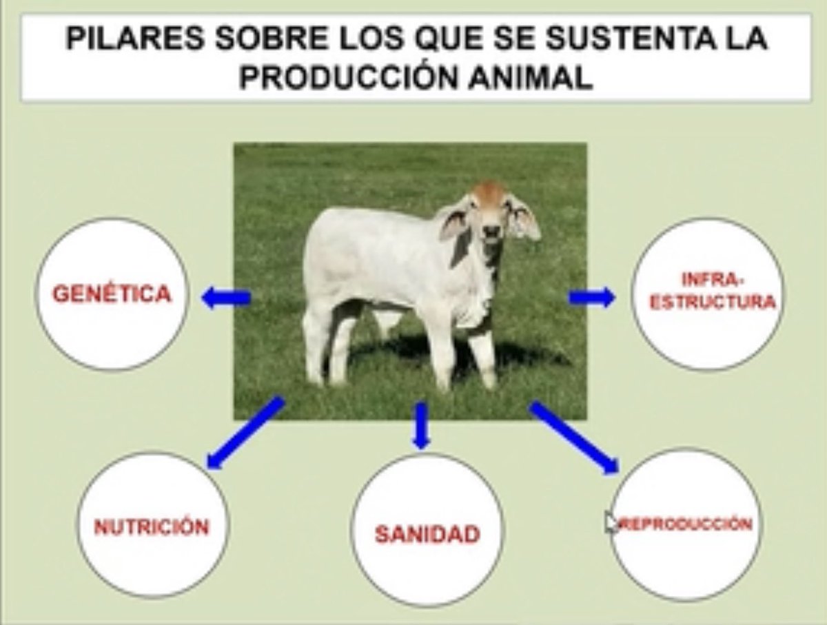 Falta el más impredecible de todos !!! Nuestro Gobierno !!!