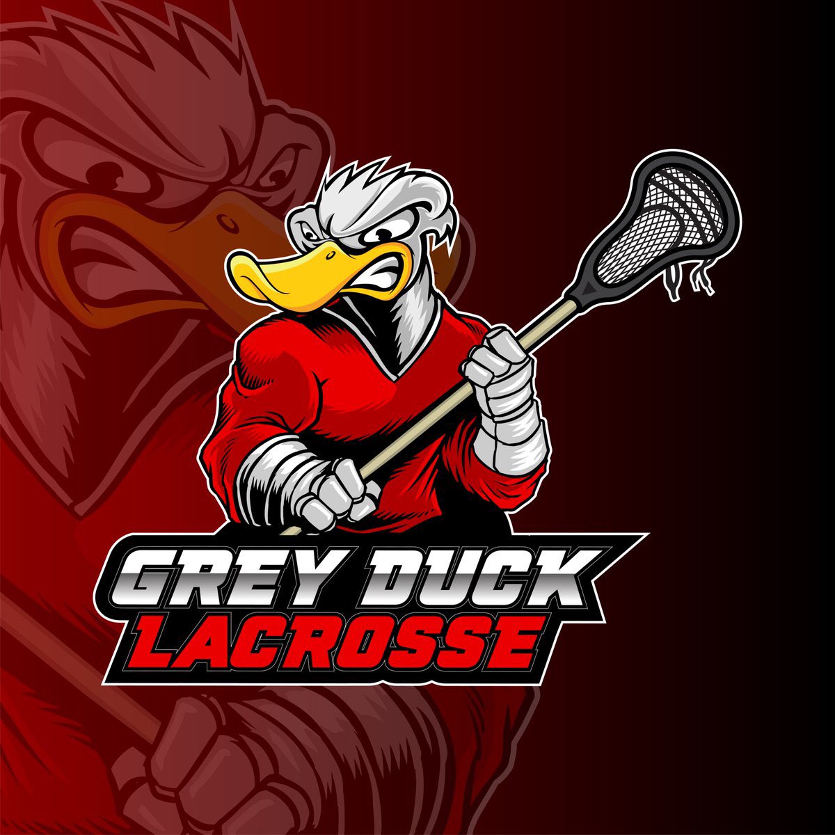 Not only will my son get coached by <a href="/keatsmohs10/">Keaton Mohs</a> this summer, but he will also be coached by <a href="/LibertyLax/">Liberty Men's Lacrosse</a> teammate, <a href="/WillGeary3/">Will Geary</a> (brother of Gopher WR <a href="/Clay6Geary/">Clay Geary</a>)! Might have to bring a football to practice!