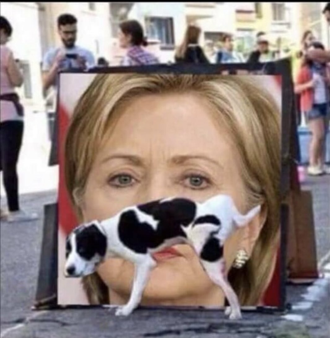 Heather4Reals's tweet photo. #ILoveDogs #EspeciallyThisOne @HillaryClinton https://t.co/oGL8q6B1Vw
