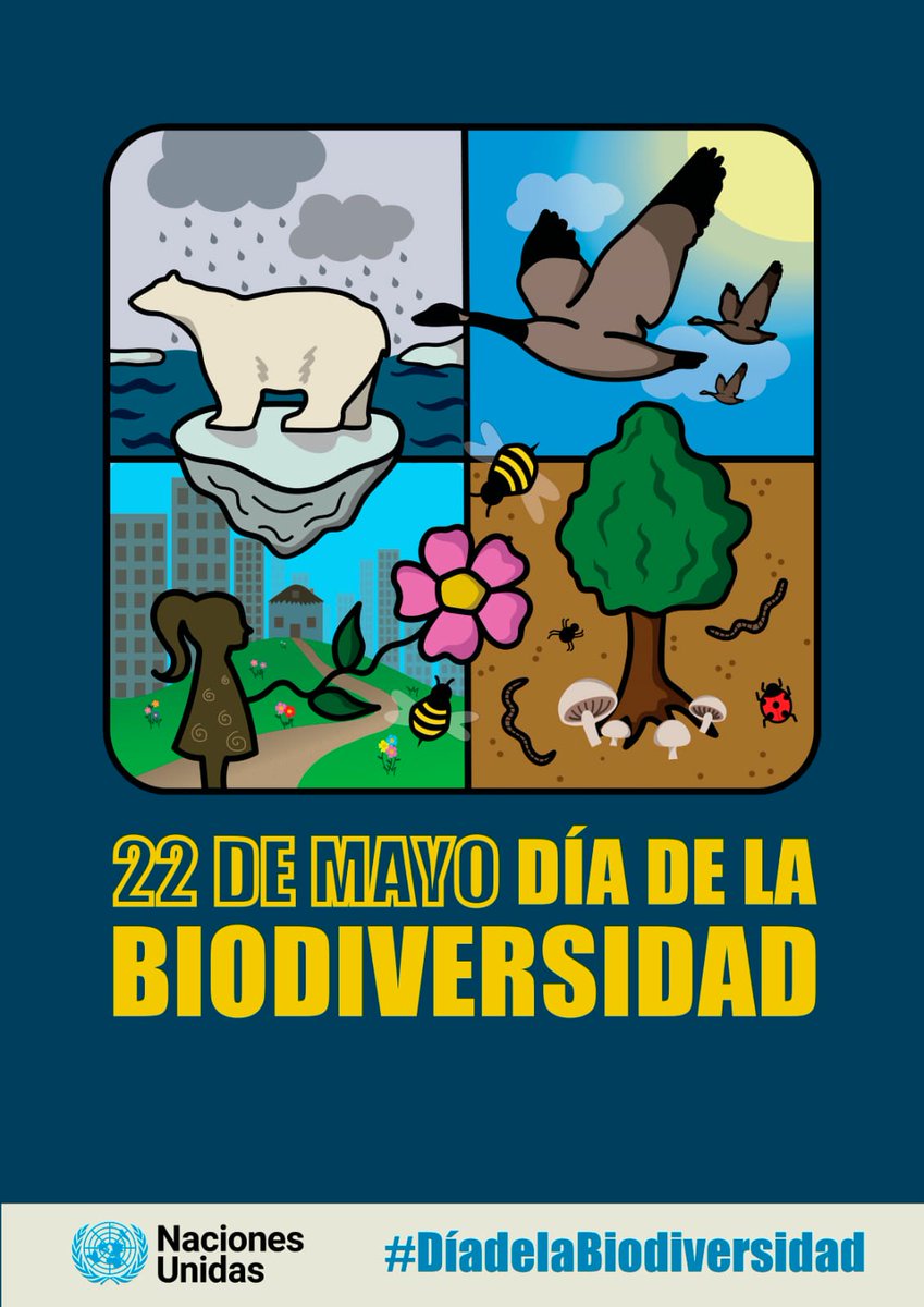 Día Internacional de la Biodiversidad Biológica
Cada 22 de mayo se celebra el Día Mundial de la Biodiversidad, la fecha señalada en el Calendario para concienciar al mundo sobre la importancia de proteger los recursos biológicos y la biodiversidad global.