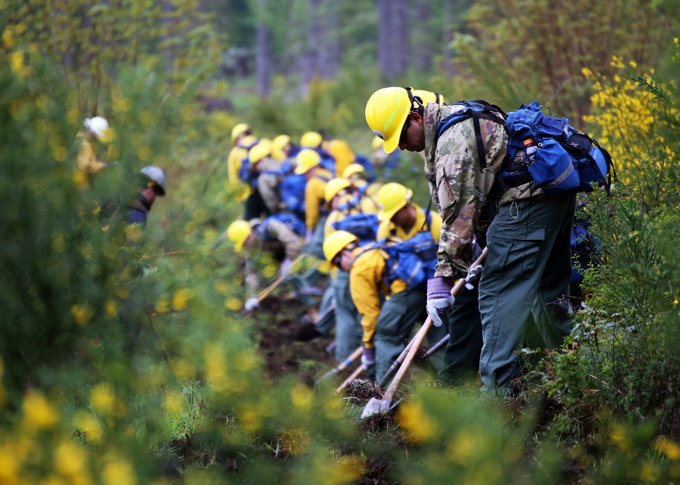 USArmy's tweet photo. It might be raining, but the @WANationalGuard is still out training with @waDNR_fire in preparation for #WAWildfire season. 

Since 2013, the Guard has teamed with @waDNR to train members to provide support to the wildfire-fighting effort. https://t.co/tVs8GzyrhL
