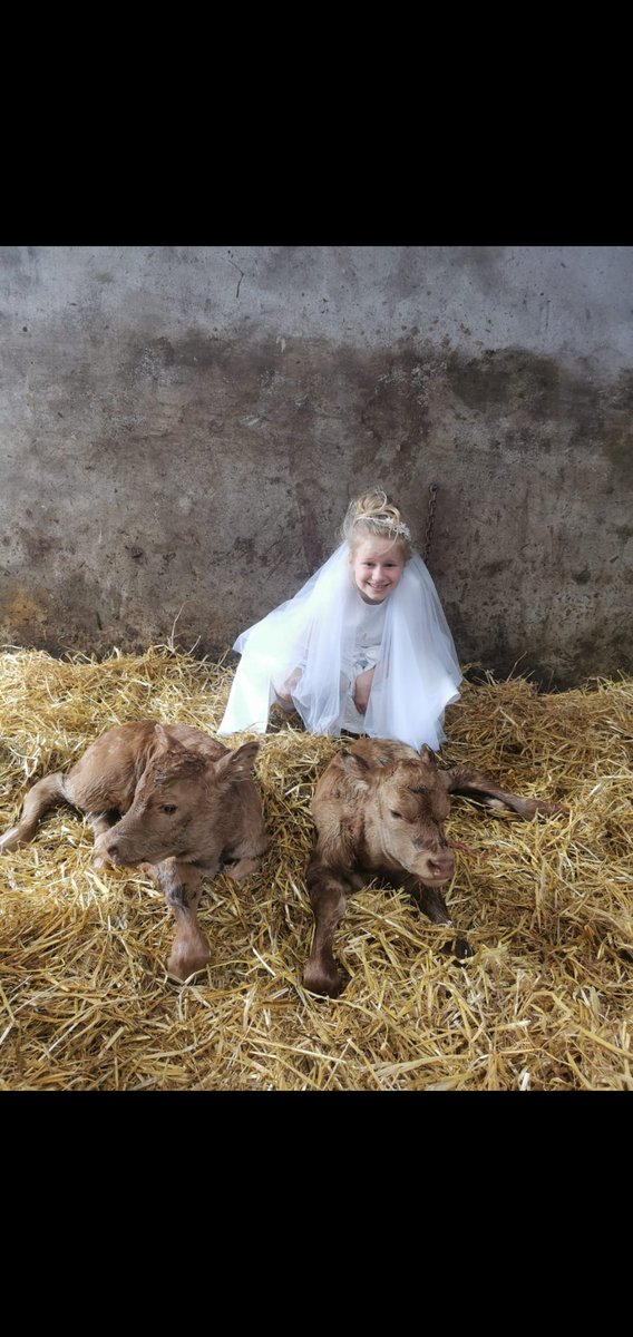 1st Holy Communion made and twins in the one day @farmersjournal @AgrilandIreland @RoscommonPeople #womanfarmer