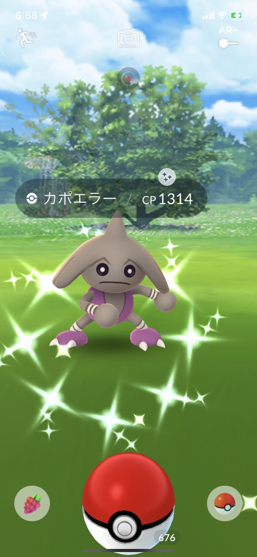 カポエラー色違い Twitter Search Twitter