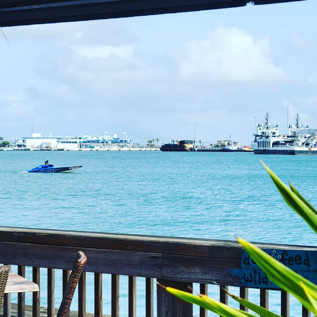 RustysInThePort's tweet photo. A few of the speedboats on their way out of the channel this morning before revving up to speedβ¦ at Rusty's at the Port!πππ€π€πππ¬ #thunderonthebeach #goodluckdrivers #hearthatrumble #speedboatcity #portlife #rustysseafood #portcanaveral https://t.co/UgdVBBjogM