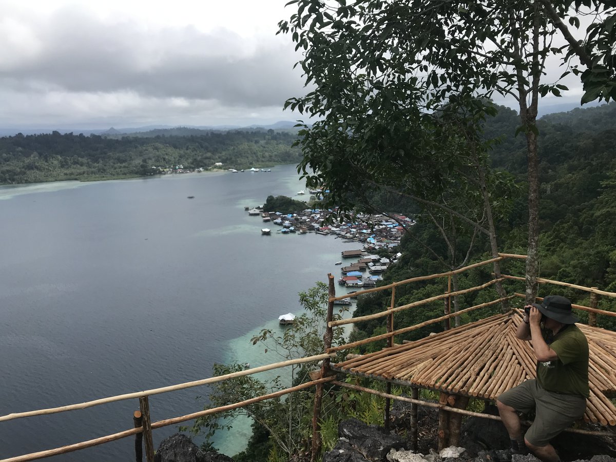 Happy #BiodiversityDay2022 and happy birthday Jeff Sayer!