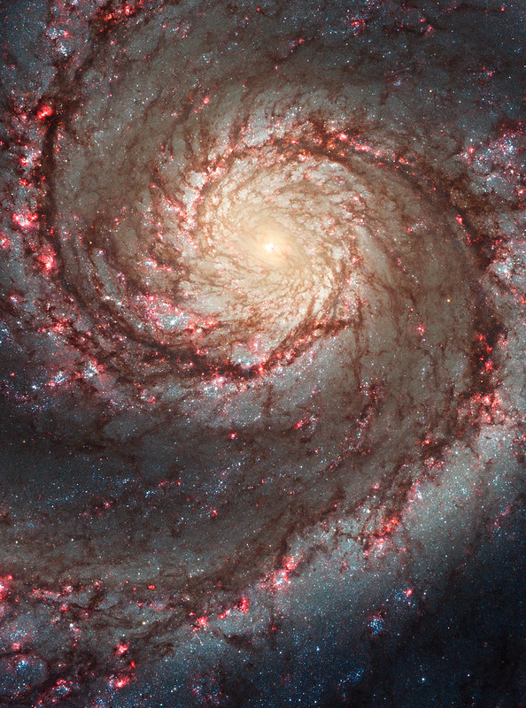 Round and round we go…

Let yourself be whisked away by the Whirlpool Galaxy’s curving arms, pink star-forming regions, and brilliant blue strands of star clusters. Explore #GalaxiesGalore with <a href="/NASAHubble/">Hubble</a> on @Tumblr: nasa.tumblr.com/post/684784785…