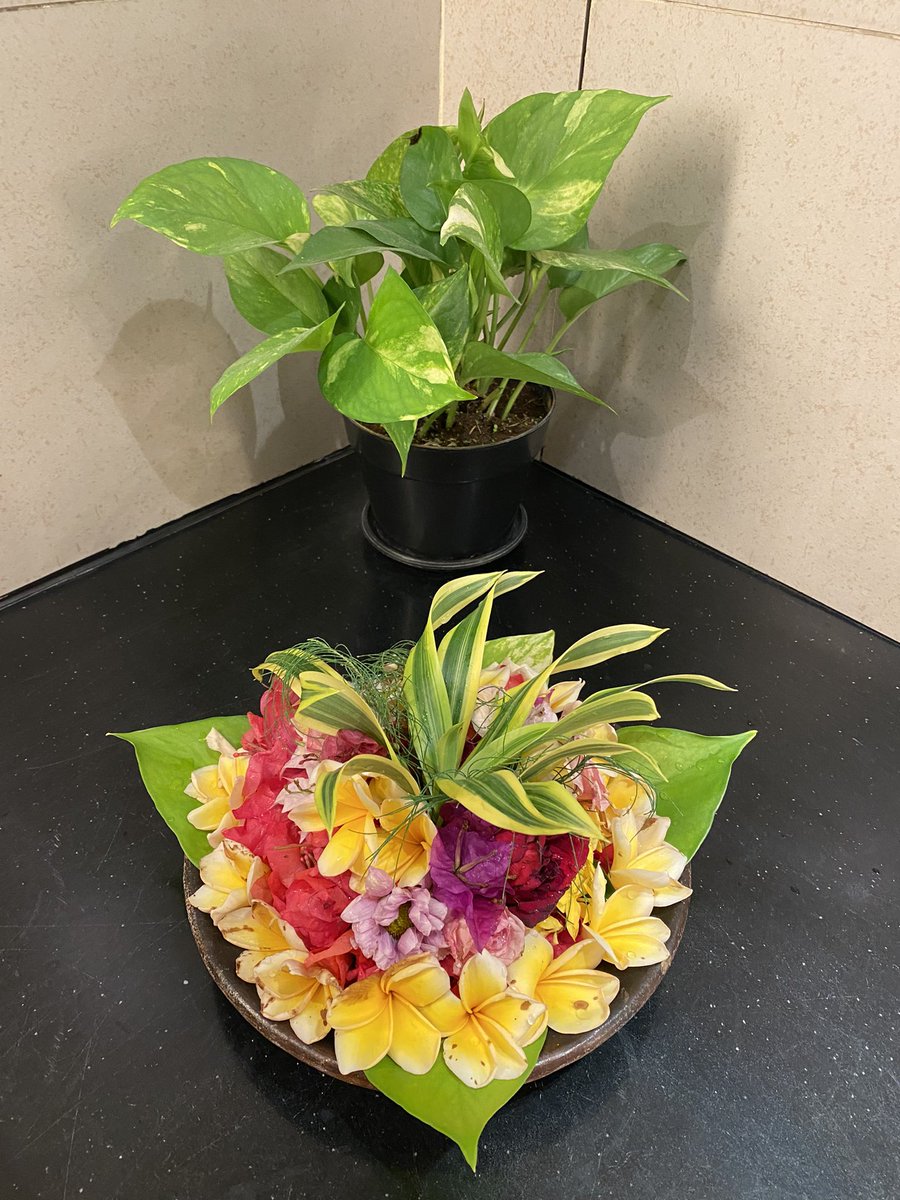 toilet bandara ngurah rai emang debes deh. selalu wangi,bersih, kering, tissue ada terus dan petugas janitor yang sopan bgt. yg di ibukota mah terjorok