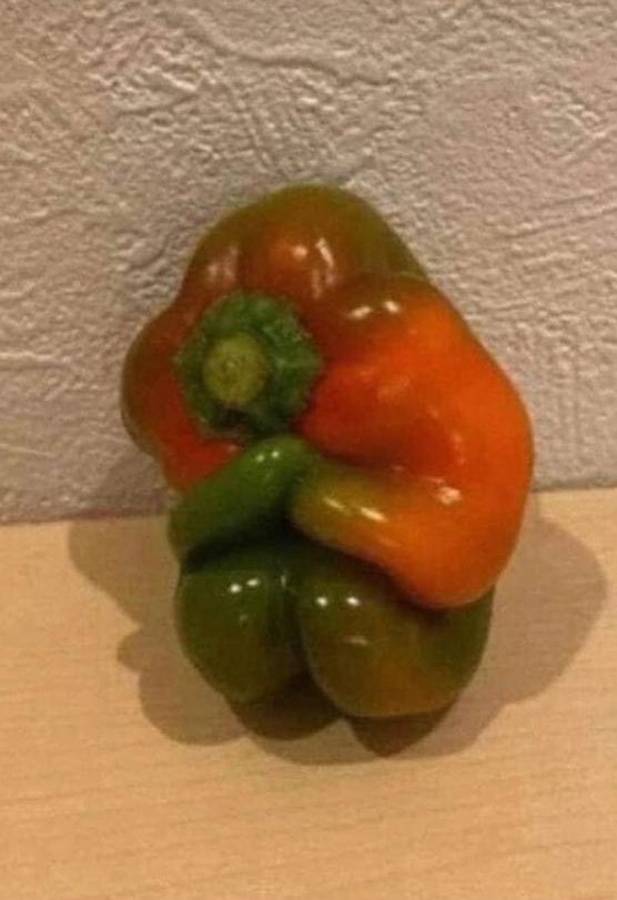 No se si cocinarlo o preguntarle que le pasa ? 🤔