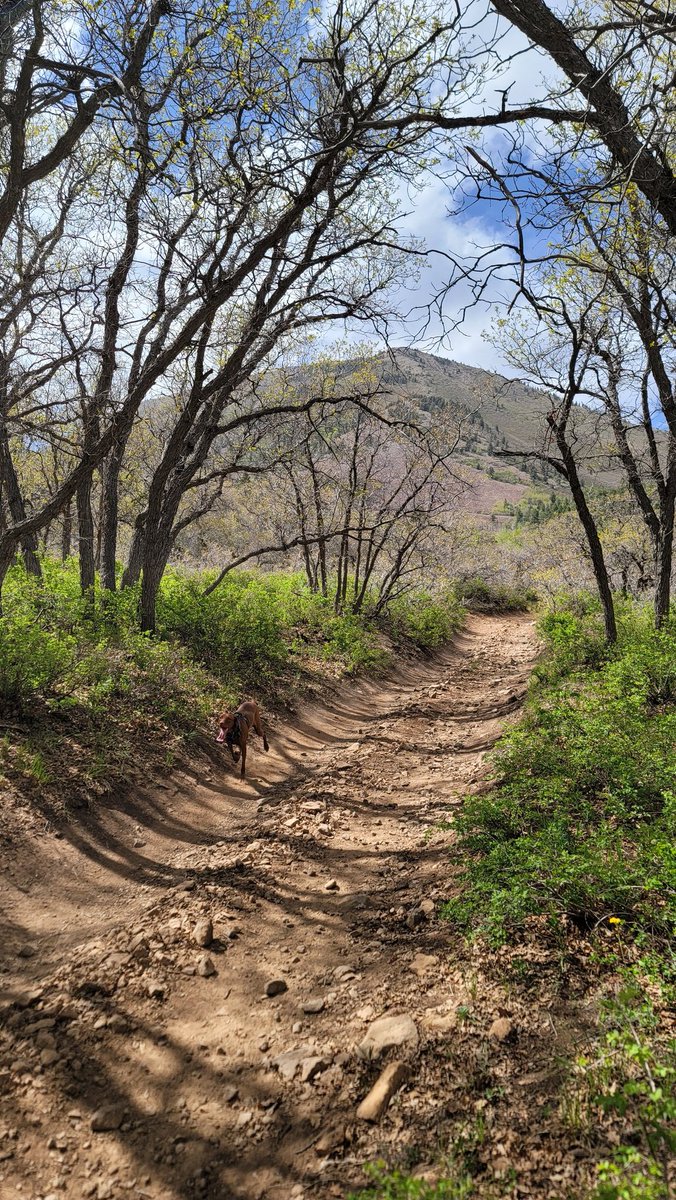 The Average Joe Runner tweet media