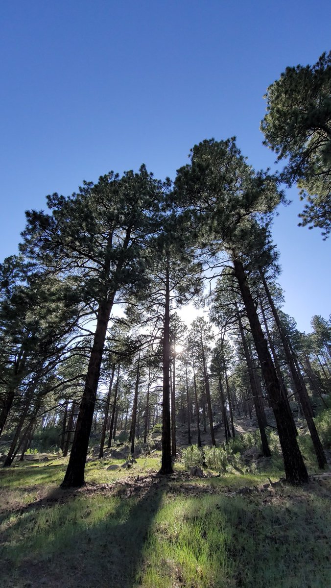 The Average Joe Runner tweet media