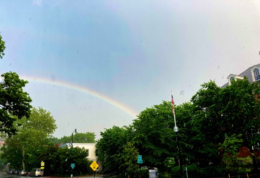toddhett's tweet photo. I kinda always knew that the Northeast @dcpl library was at the end of the rainbow. @Nelibraryfriend https://t.co/NSrCH8mZEQ