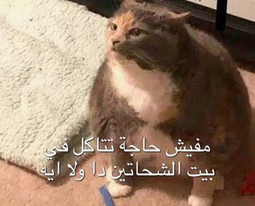 MemesOficiial's tweet photo. انا بعد ما كلت ١٠٠ مرة باليوم: https://t.co/NxhxzVXYXb