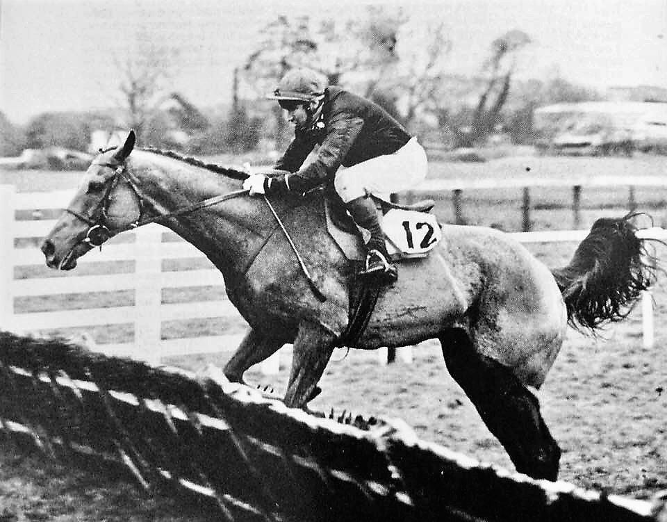 Secret Ballot & Eddie Waite for the late Andy Turnell on their way to winning the New Years Day Hurdle @WindsorRaces The race was initially a Conditions race, a Champion Hurdle trial over 2 mile but became a Limited Handicap in 1993, reduced to an ordinary handicap in 1998.